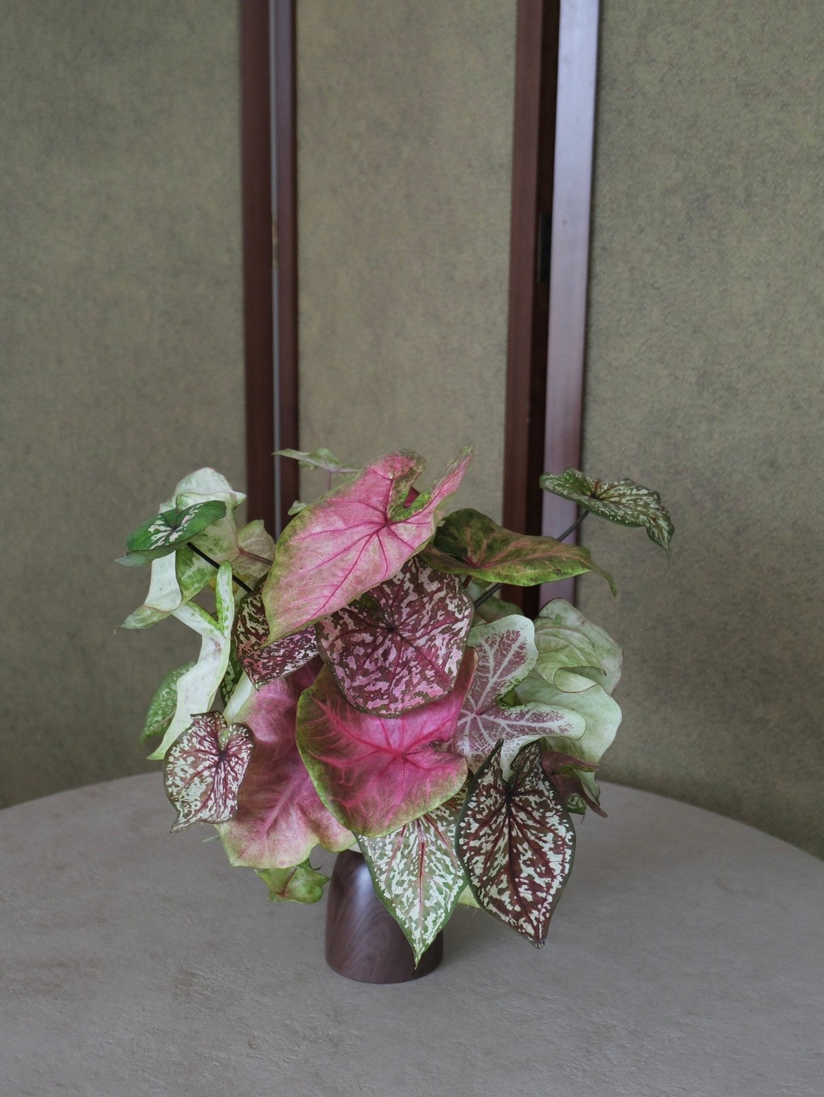 BOTANICAL